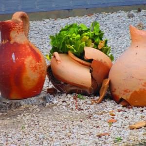 Meet your Posher, Faye